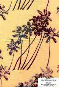 Feather Palms